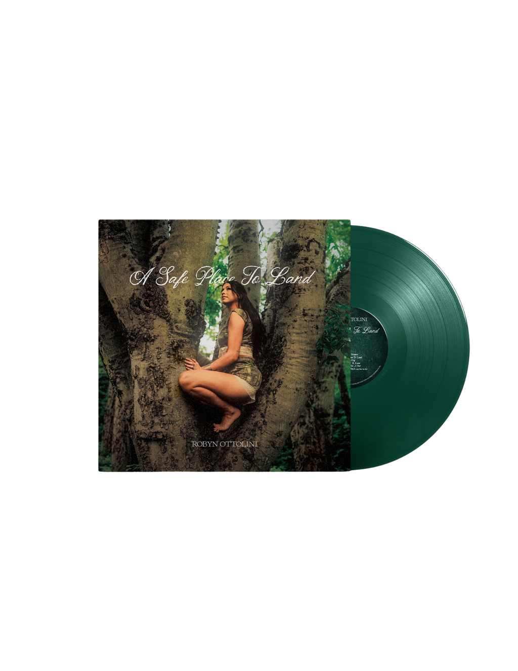 Album Vinyl - "A Safe Place To Land" (PRE-ORDER)